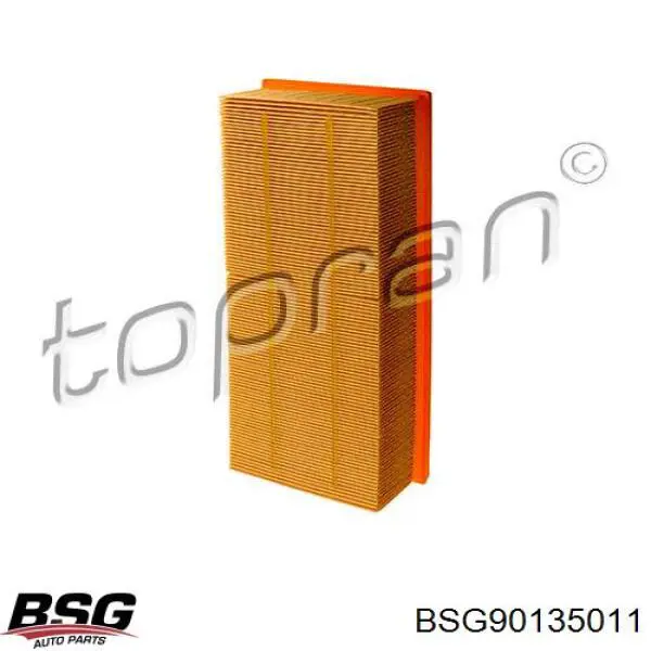 BSG90135011 BSG Повітряний фільтр двигуна