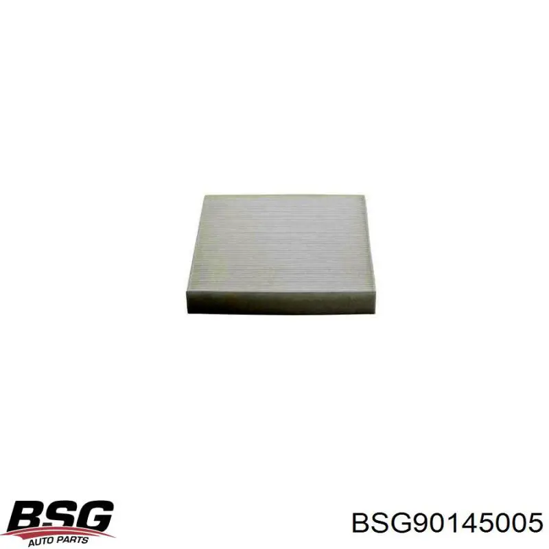 BSG90145005 BSG Внутрішньосалонний фільтр