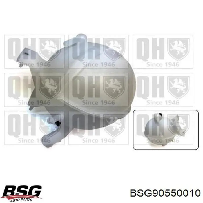 Бачок системи охолодження двигуна розширювальний BSG BSG90550010 ціна, від 31.24 USD