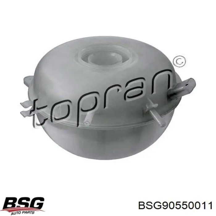 BSG90550011 BSG Розширювальний бачок охолодження