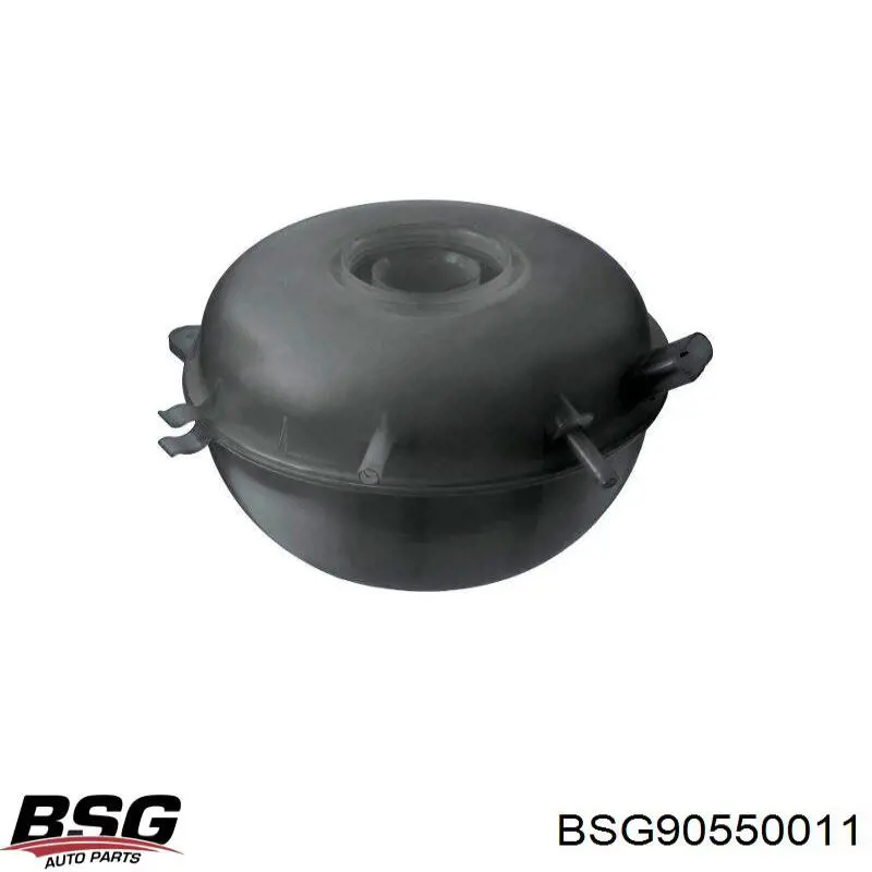 Купити BSG90550011 BSG Водяний бачок системи охолодження