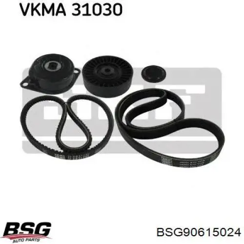 Купити BSG90615024 BSG Натягувач приводного ременя