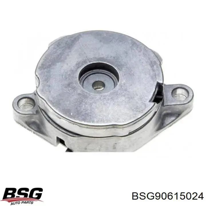 Натягувач приводного ременя BSG BSG90615024 ціна, від 33.64 USD