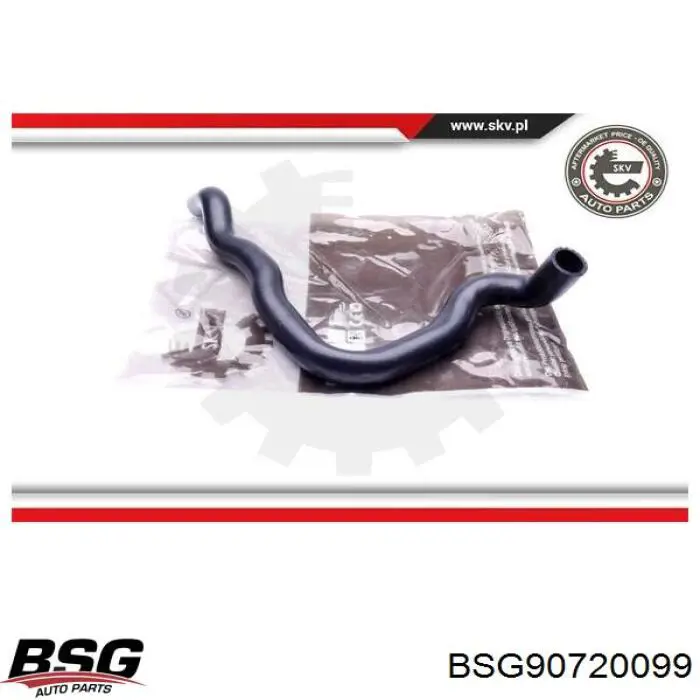 Шланг/патрубок радіатора охолодження, нижній BSG BSG90720099 ціна, від 14.43 USD