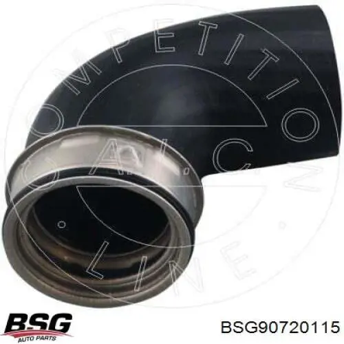 Шланг/патрубок интеркуллера BSG BSG90720115 ціна, від 16.47 USD