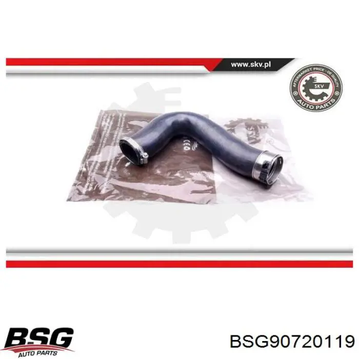 Шланг/патрубок интеркуллера BSG BSG90720119 ціна, від 57.55 USD