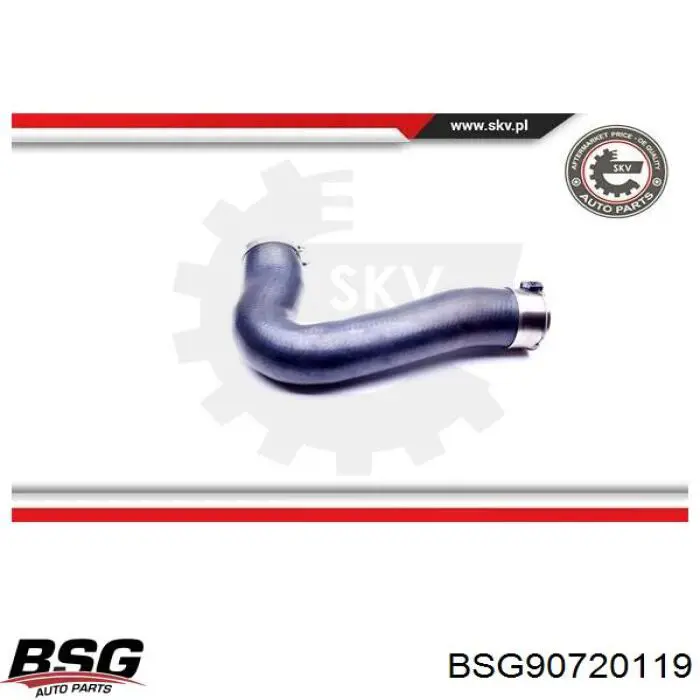 Купити BSG90720119 BSG Шланг/патрубок интеркуллера