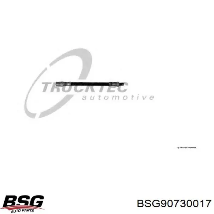 Шланг гальмівний задній BSG BSG90730017 ціна, від 4.55 USD