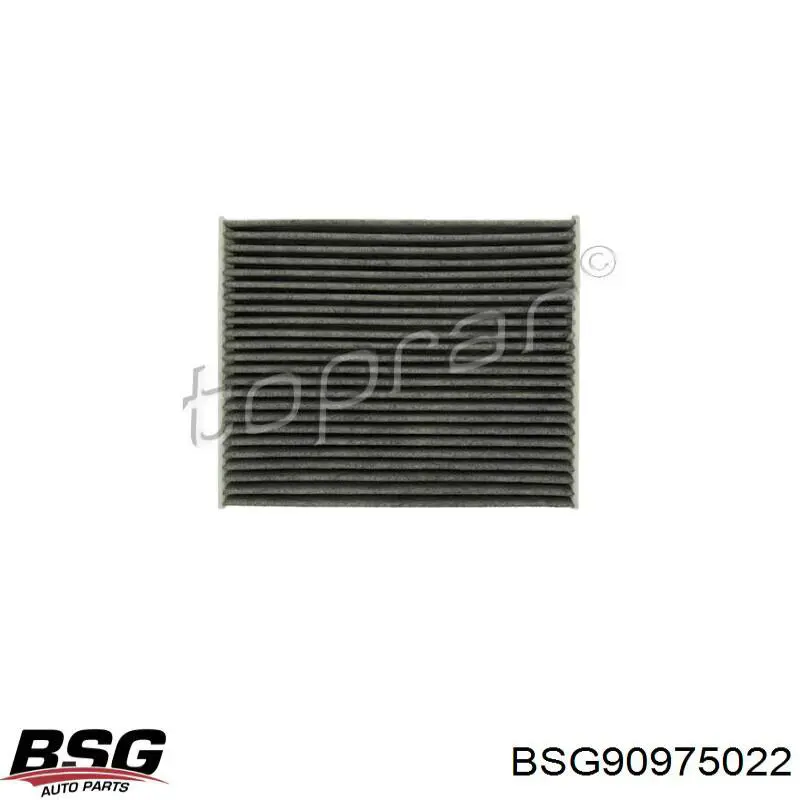 Купити BSG90975022 BSG Ролик двері бічної/зсувної, правий нижній