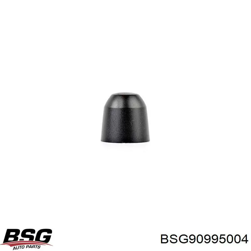 Купити BSG90995004 BSG Заглушка гайки кріплення повідка переднього двірника