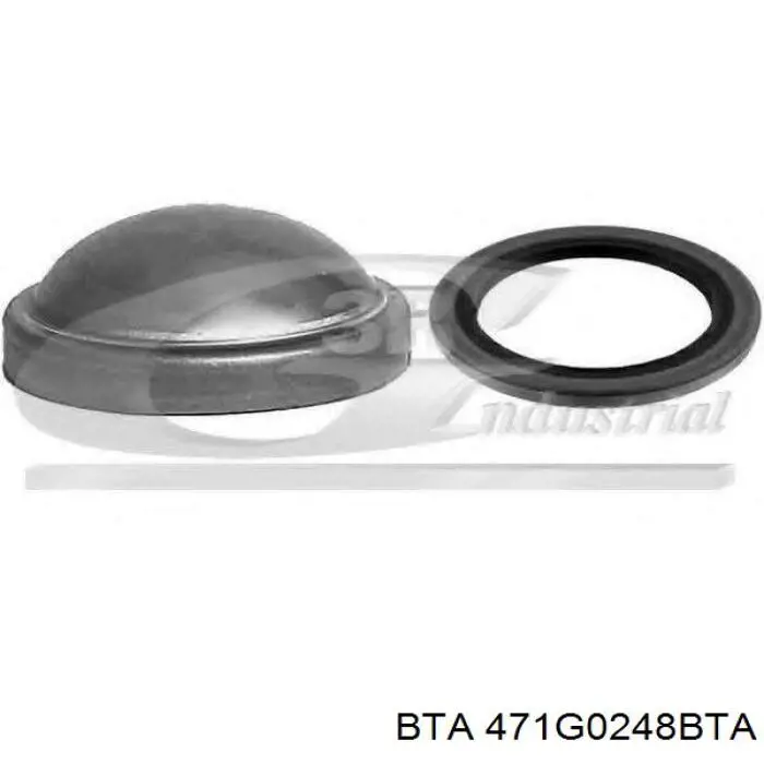 Заглушка маточини Standart STD801 ціна, від 2.25 USD