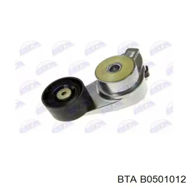 Натяжний ролик BTA B0501012 ціна, від 11.48 USD