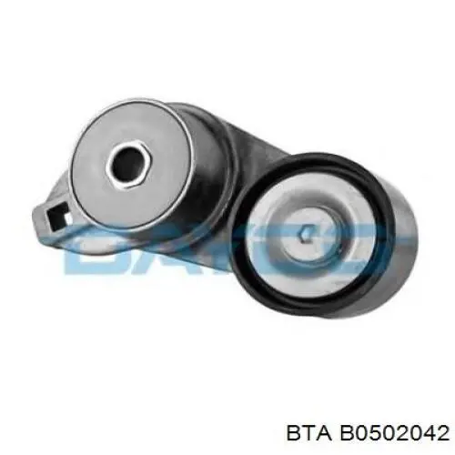 Купити 48500 Caffaro Натяжний ролик