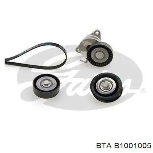 Купити B1001005 BTA Ремінь приводний, агрегатів, комплект