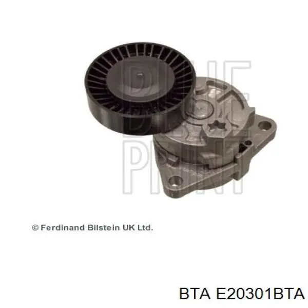 Купити E20301BTA BTA Натяжний ролик