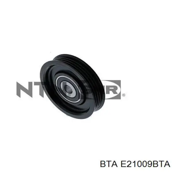 Купити E21009BTA BTA Натяжний ролик