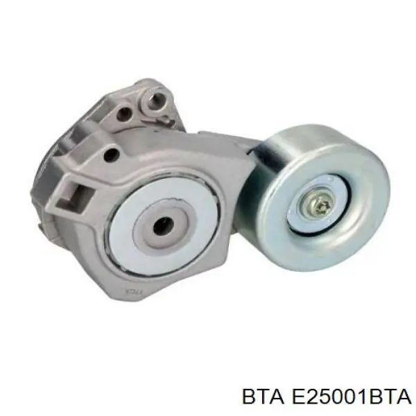 TS508 Japan Parts Натяжна планка поліклинового ременя