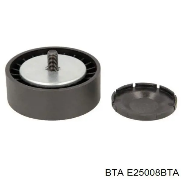 E25008BTA BTA ролик приводного ременя, паразитний