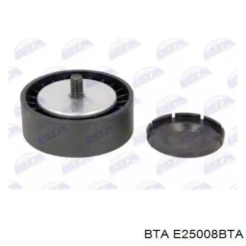 Купити E25008BTA BTA Ролик приводного ременя, паразитний