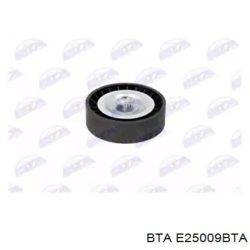 E25009BTA BTA ролик натягувача приводного ременя
