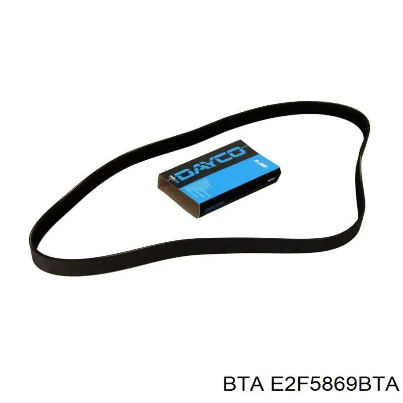 E2F5869BTA BTA ролик приводного ременя, паразитний