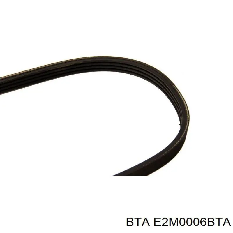 Ролик приводного ременя, паразитний BTA E2M0006BTA