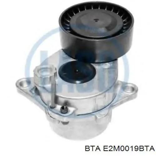 E2M0019BTA BTA Ролик натяжителя ременя агрегатів