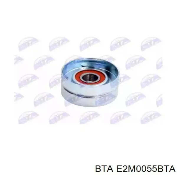 Купити E2M0055BTA BTA Натяжний ролик
