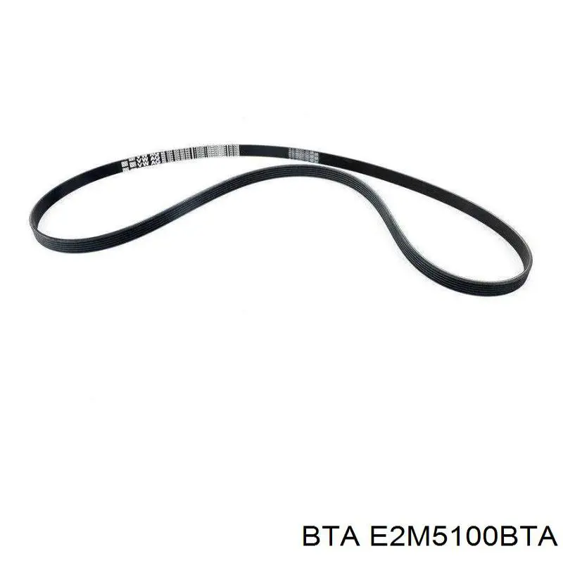 Купити E2M5100BTA BTA Натяжний ролик