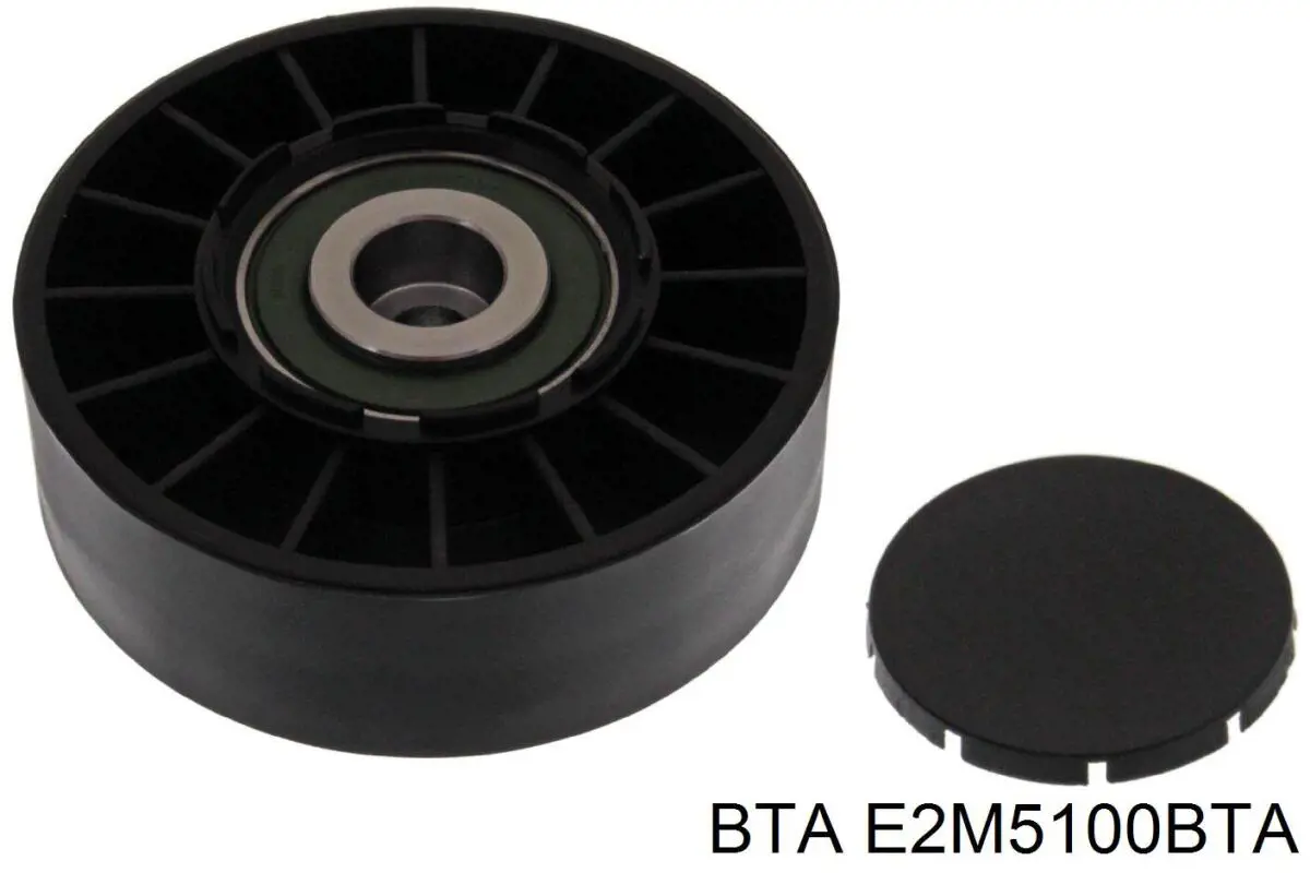E2M5100BTA BTA ролик натягувача приводного ременя