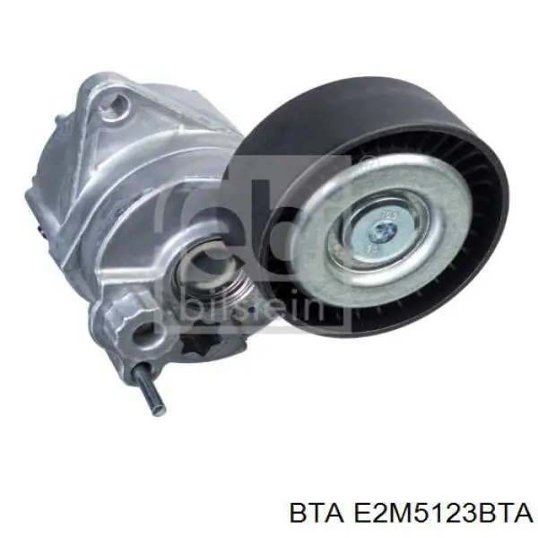 Купити E2M5123BTA BTA Натяжний ролик