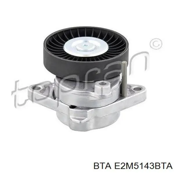 Натяжний ролик BTA E2M5143BTA ціна, від 10.40 USD