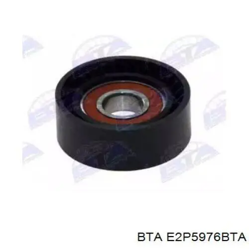 E2P5976BTA BTA ролик натягувача приводного ременя