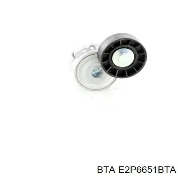 E2P6651BTA BTA Ролик натяжителя ременя агрегатів