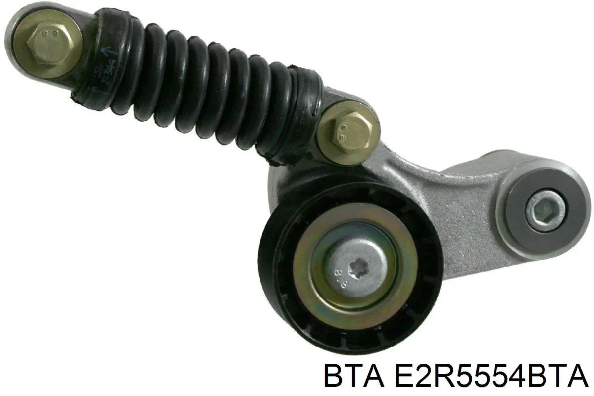 E2R5554BTA BTA ролик натягувача приводного ременя
