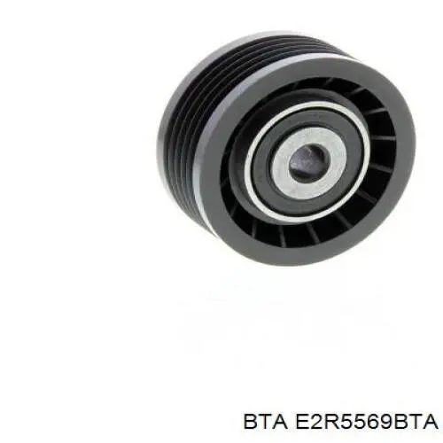 Купити E2R5569BTA BTA Натяжний ролик