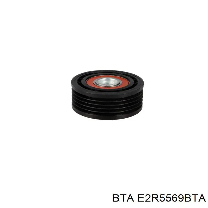 Натяжний ролик E2R5569BTA BTA