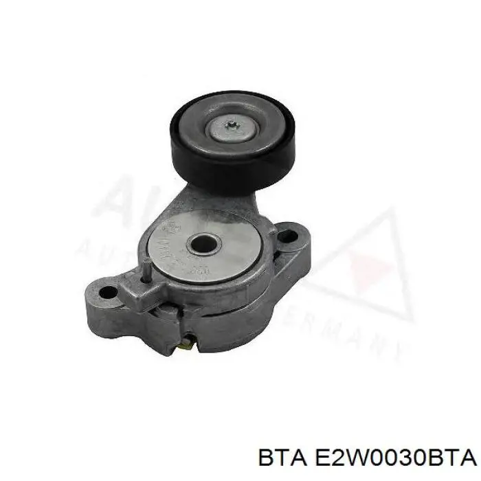 Купити E2W0030BTA BTA Натяжний ролик