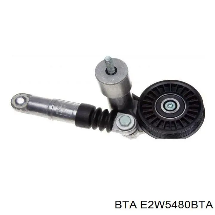 Купити E2W5480BTA BTA Ролик приводного ременя, паразитний