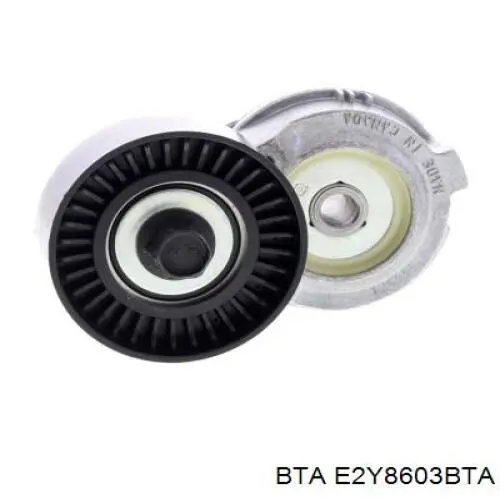 MPQ0257 Magneti Marelli Ролик натяжителя ременя агрегатів