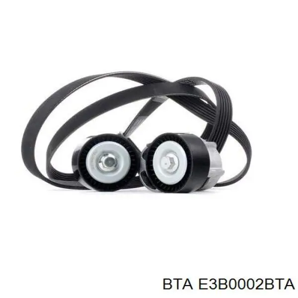 Натягувач приводного ременя BMW 1440377 ціна, від 34.12 USD