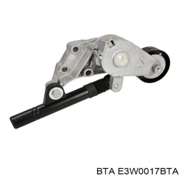 Натягувач приводного ременя BTA E3W0017BTA ціна, від 39.61 USD