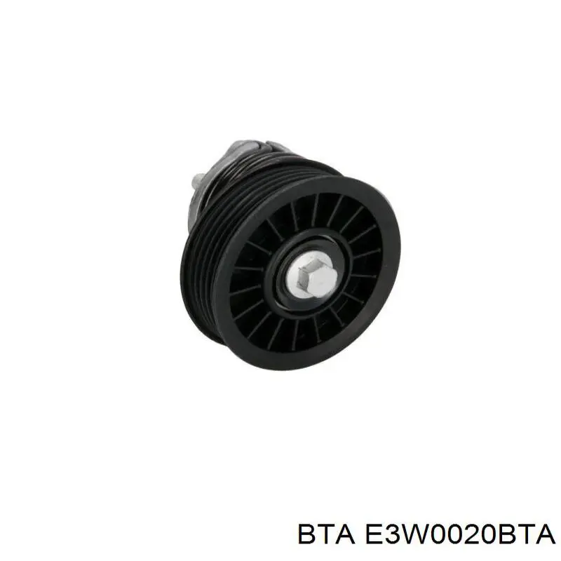 E3W0020BTA BTA натягувач приводного ременя