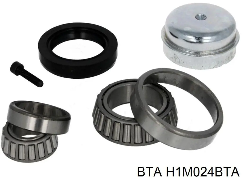 H1M024BTA BTA Підшипник маточини передньої