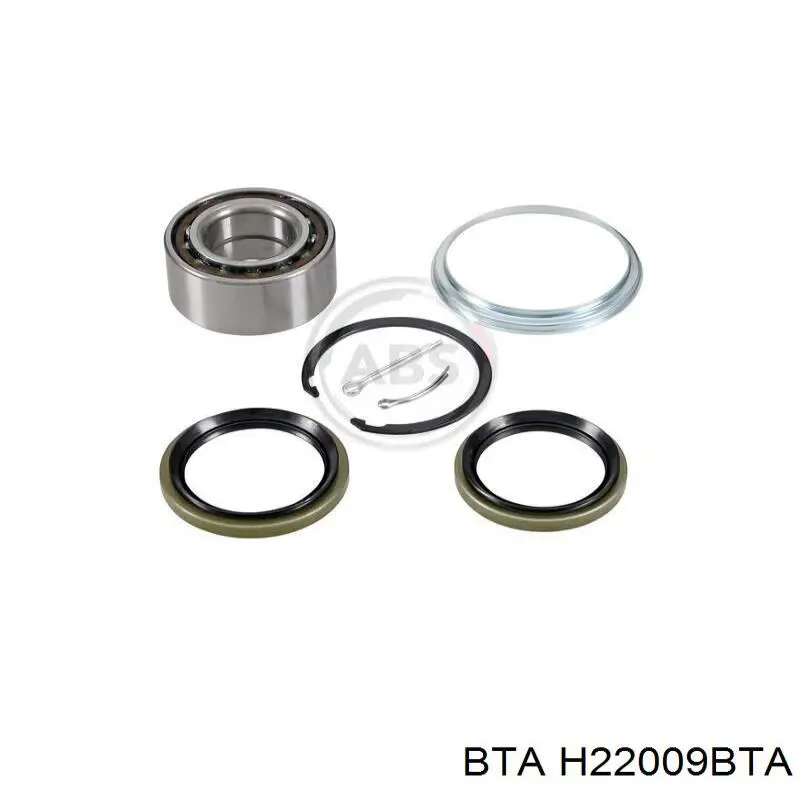 Купити H22009BTA BTA Підшипник задньої ступиці