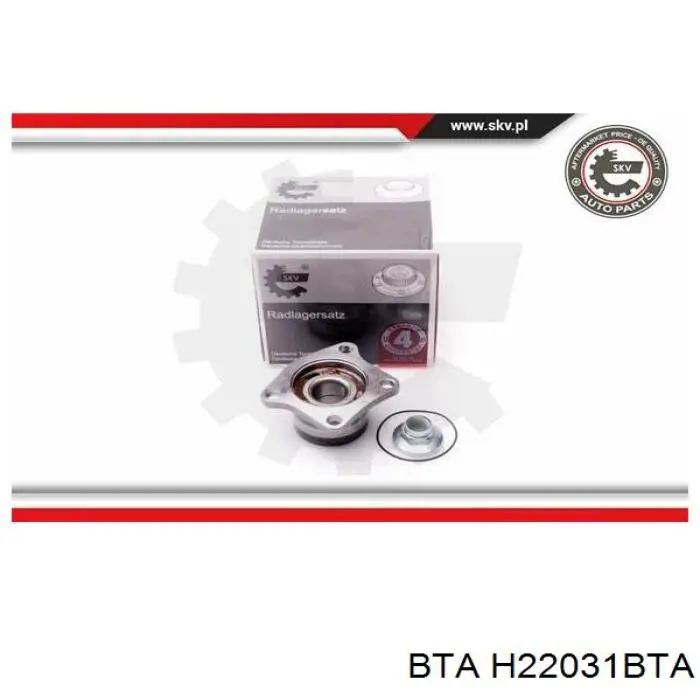 Підшипник задньої ступиці H22031BTA BTA