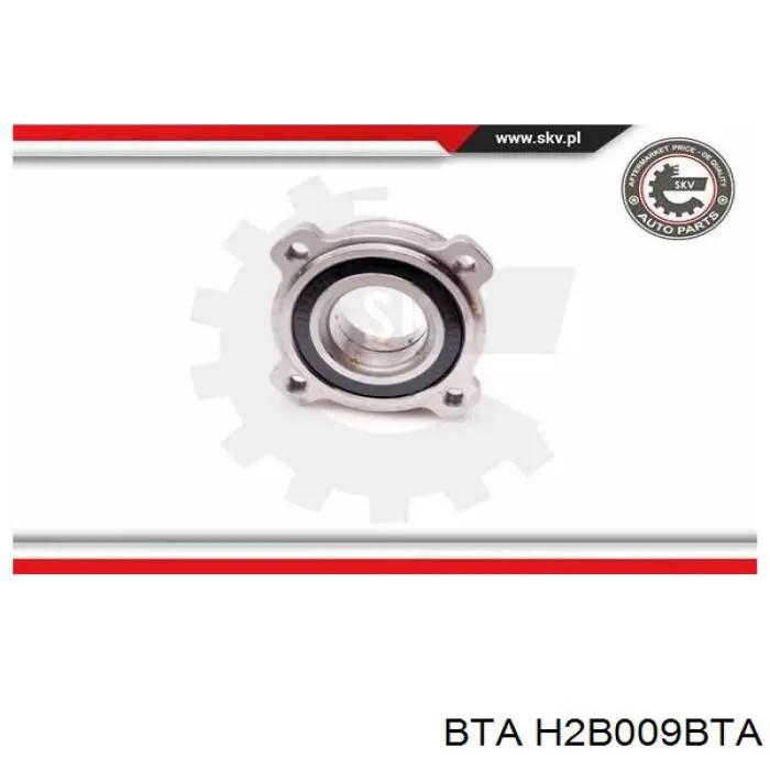 Задній підшипник BTA H2B009BTA