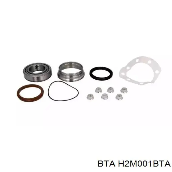Купити H2M001BTA BTA Підшипник задньої ступиці