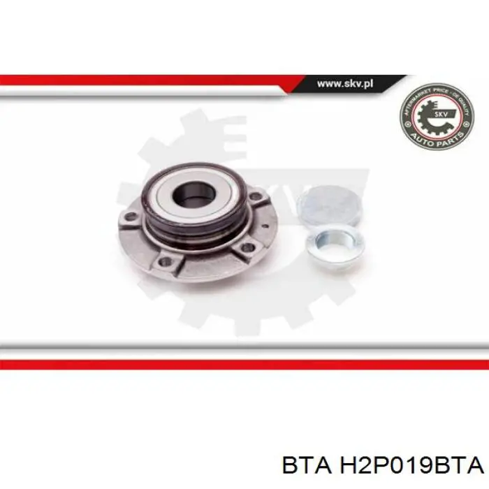 Маточини задніх коліс BTA H2P019BTA ціна, від 47.91 USD