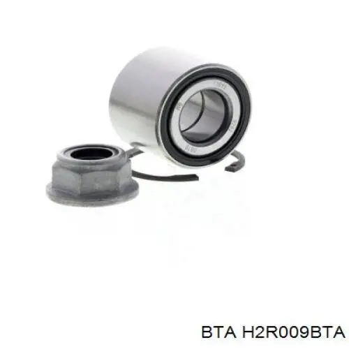 Підшипник маточини задньої BTA H2R009BTA ціна, від 12.99 USD